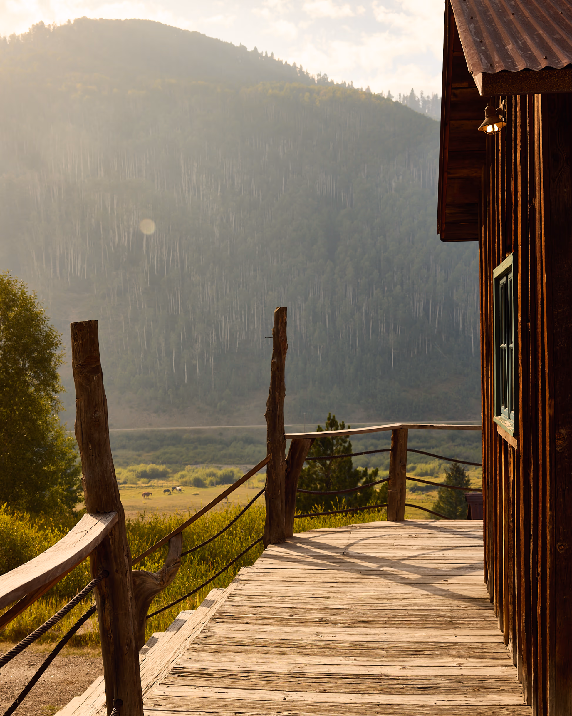 Dunton cabin exterior, editorial deck and forest