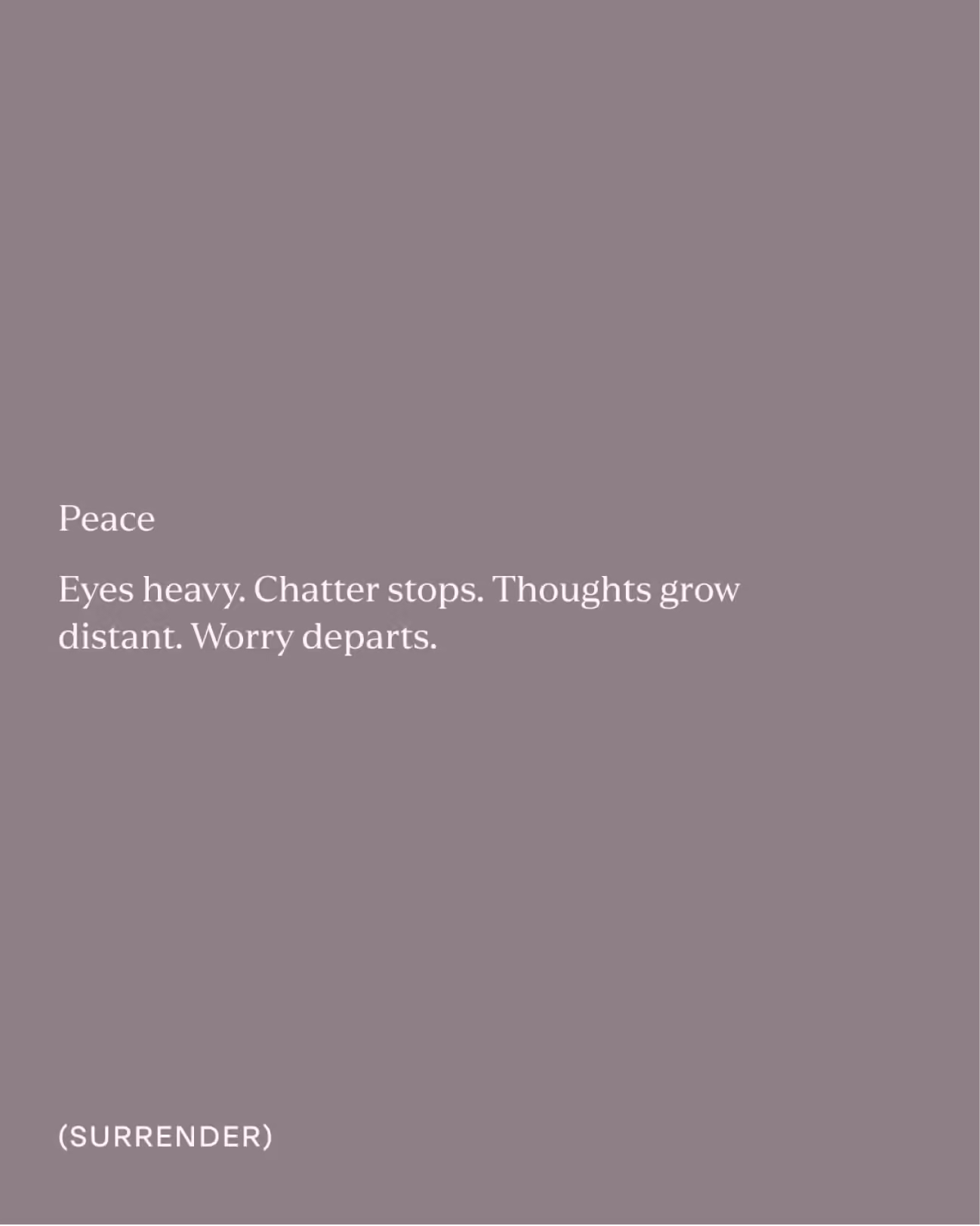 Peace messaging campaign visual